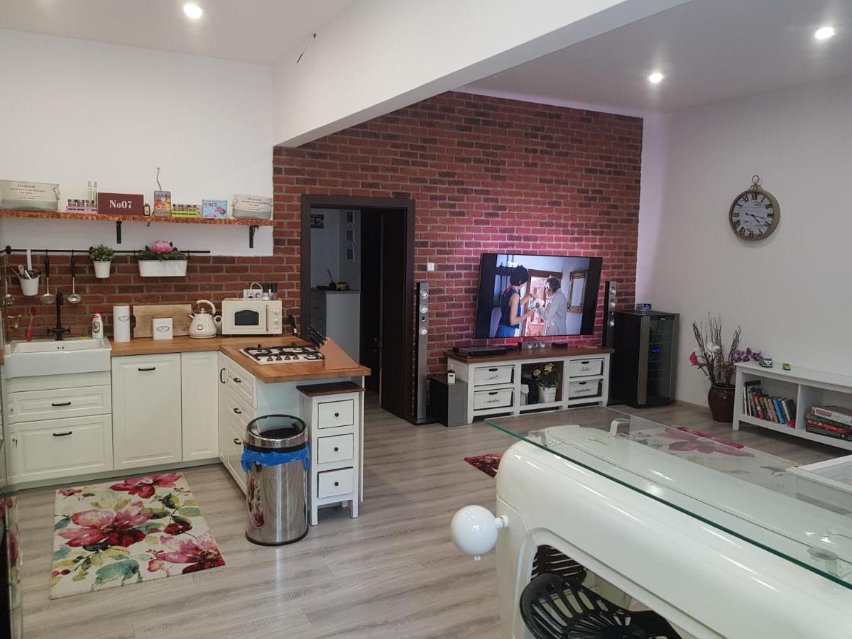Apartmán Karlovy Vary Apartman Kültér fotó