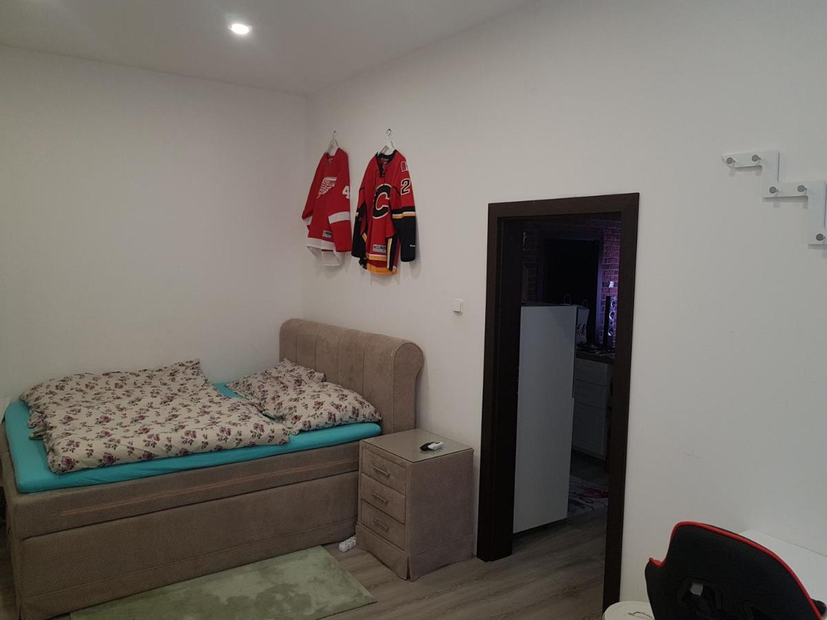 Apartmán Karlovy Vary Apartman Kültér fotó